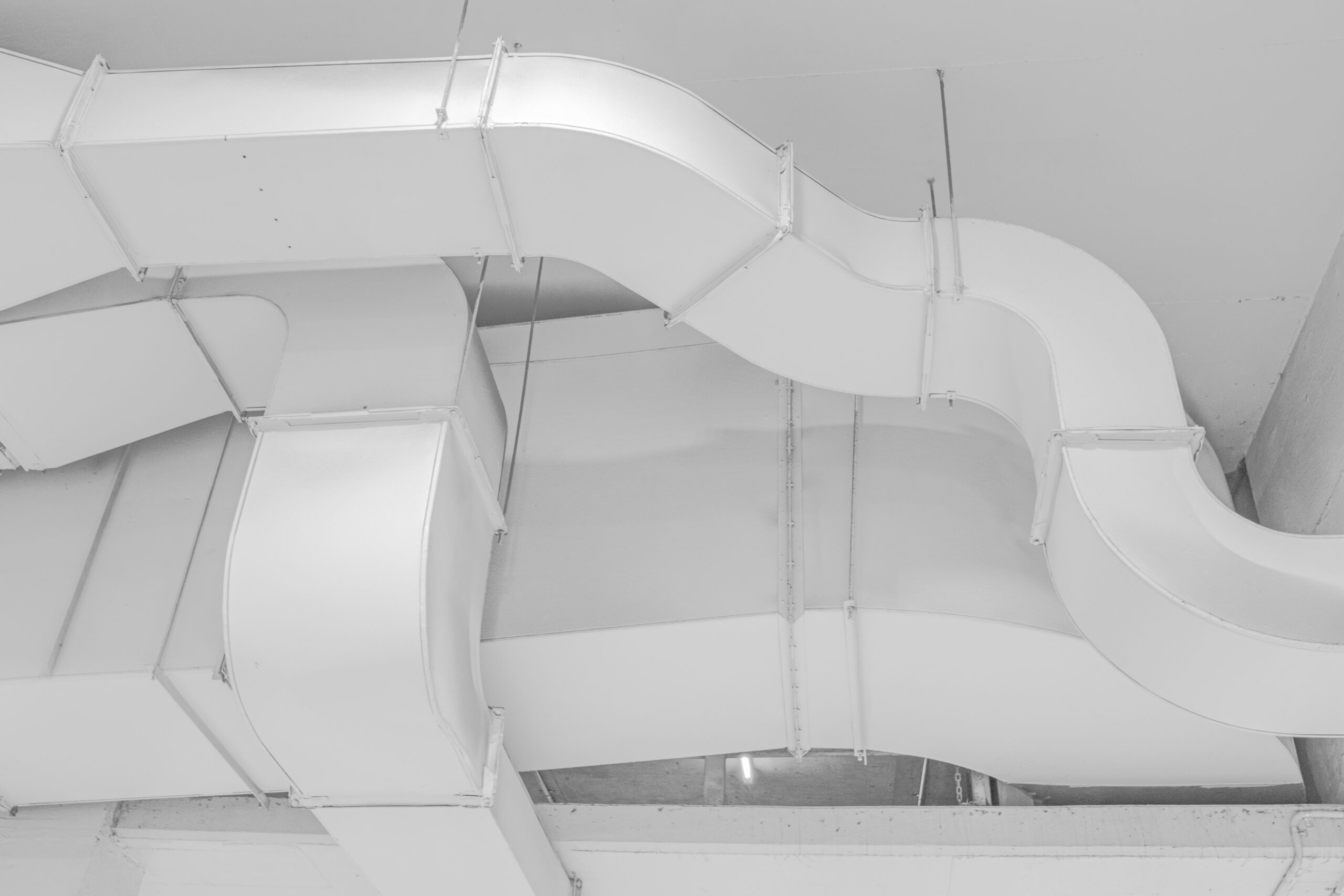 mitchell luo RAliDqgJKbE unsplash scaled
